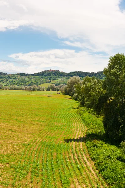 Landschap — Stockfoto