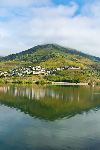 Rivière Douro — Photo