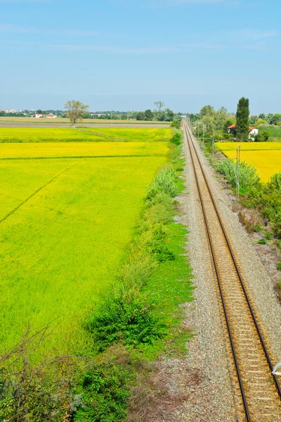 Ferrovia — Foto Stock