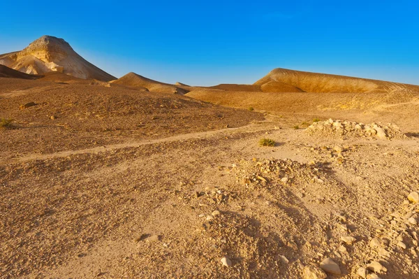 Deserto — Fotografia de Stock