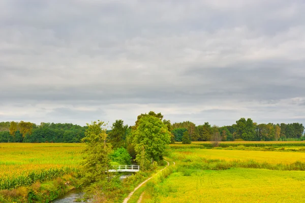 Bevattning canal — Stockfoto