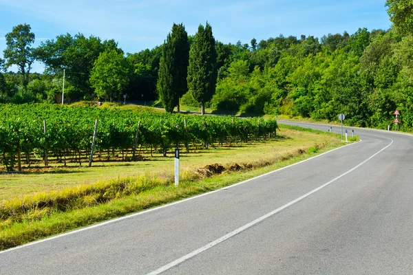 Väg — Stockfoto