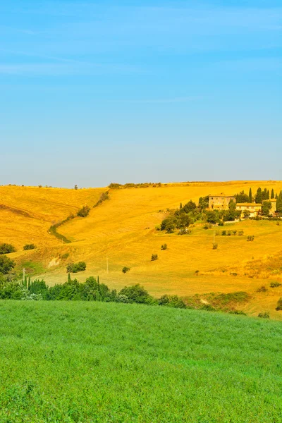 Hills of Tuscany — Stock Photo, Image