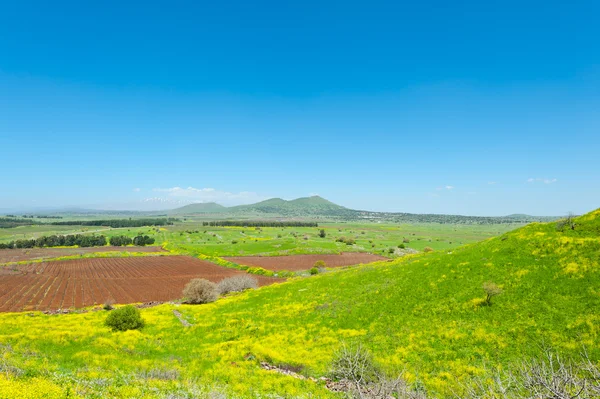 Golan Tepeleri — Stok fotoğraf