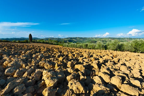 's avonds in Toscane — Stockfoto