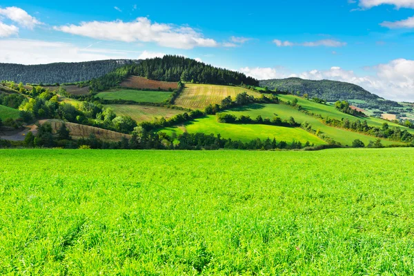 Pasture — Stock Photo, Image