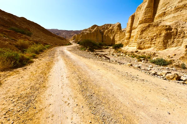 Weg in de woestijn — Stockfoto