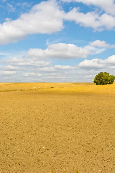 Fields — Stock Photo, Image