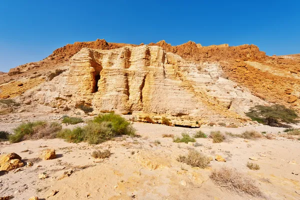 Desierto — Foto de Stock