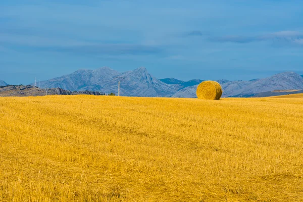 Hay тюків — стокове фото