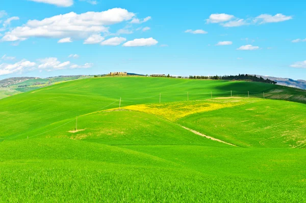 Meadows — Stock Photo, Image