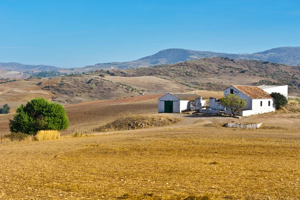 Bauernhof — Stockfoto