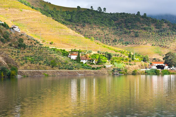 Ποταμού douro — Φωτογραφία Αρχείου