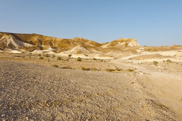 Road in Desert — Stock Photo, Image