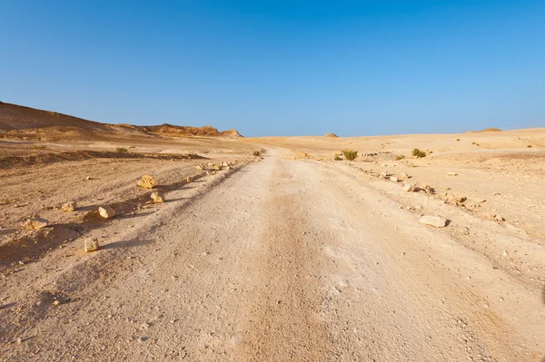사막의 길 — 스톡 사진