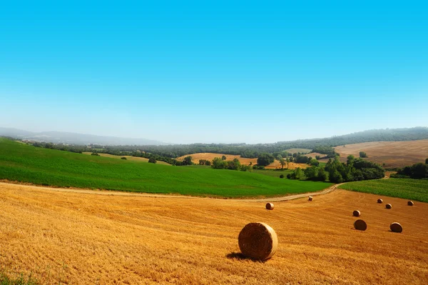 Toscana — Stockfoto