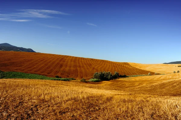 Toscana — Stockfoto