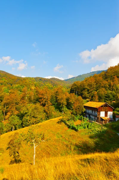 Bauernhof — Stockfoto