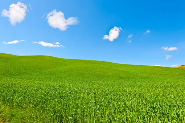 Tuscany — Stock Photo, Image