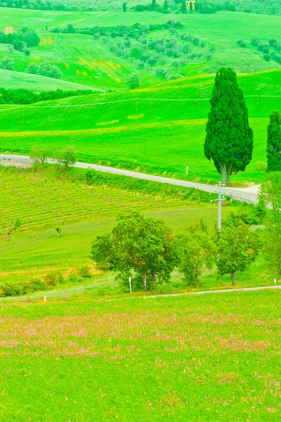 Paisagem — Fotografia de Stock