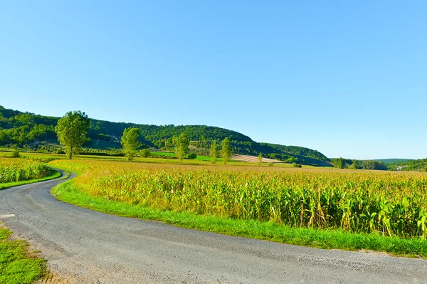 Ätligt skal — Stockfoto