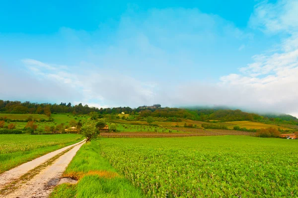 Camino de tierra — Foto de Stock