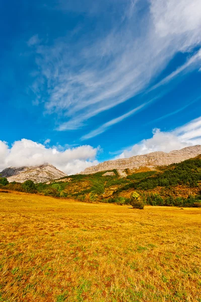 Landschaft — Stockfoto