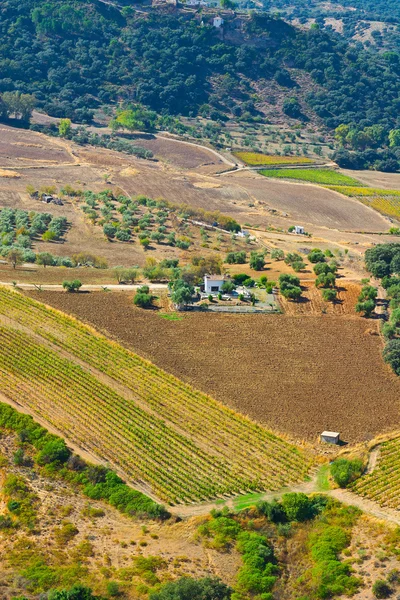 Valle —  Fotos de Stock