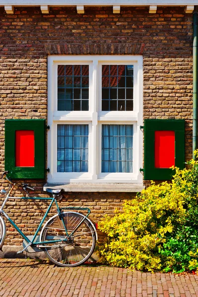 Fenster — Stockfoto