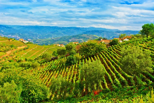 Portugal — Stock Photo, Image