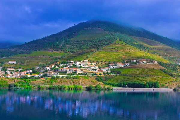 Rivier douro — Stockfoto