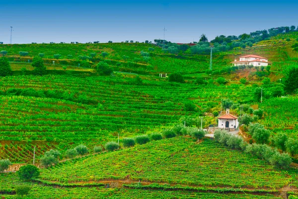 葡萄牙的山丘 — 图库照片