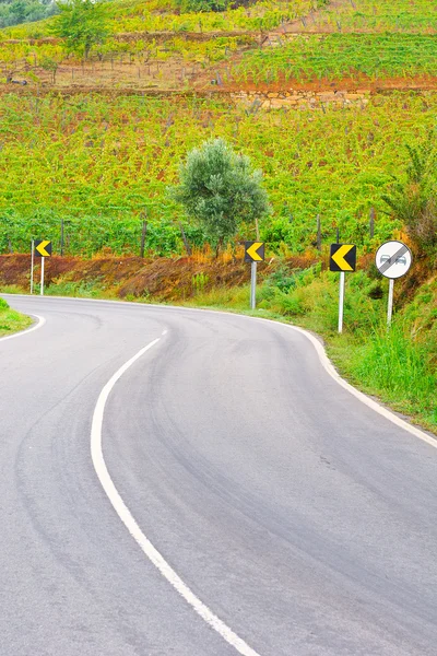 Estrada de asfalto — Fotografia de Stock