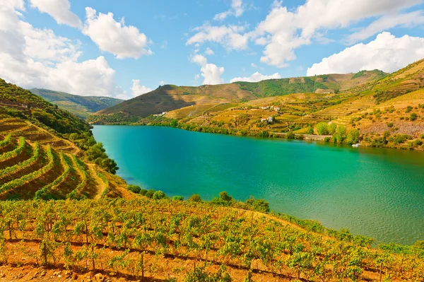 Fiume Douro — Foto Stock