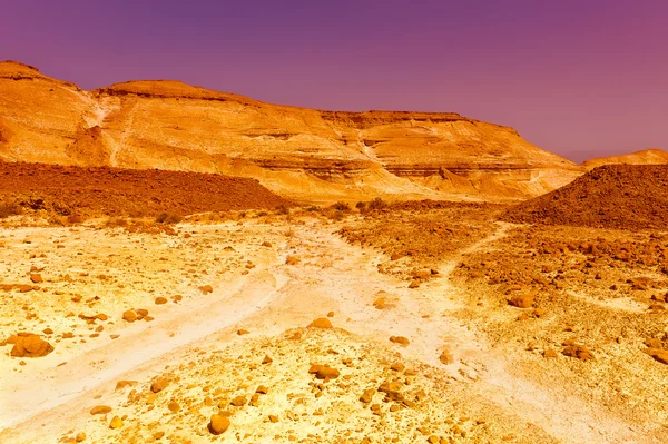 Deserto — Foto Stock