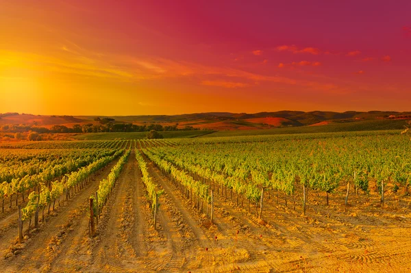 Tuscany — Stock Photo, Image