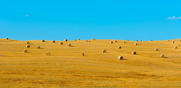 Toscana — Foto de Stock