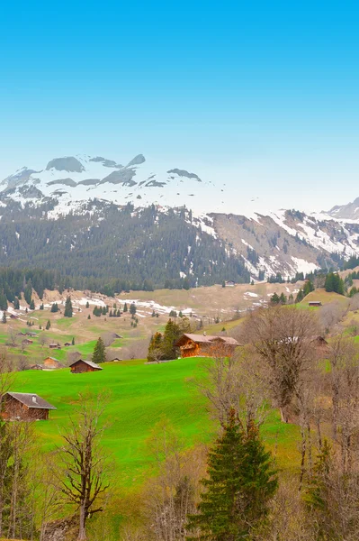 Swiss Alps — Stock Photo, Image