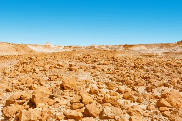 Stone Desert — Stock Photo, Image
