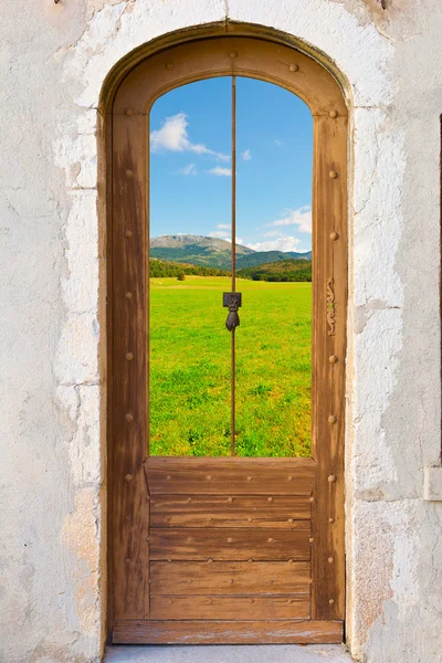 Porta in legno — Foto Stock