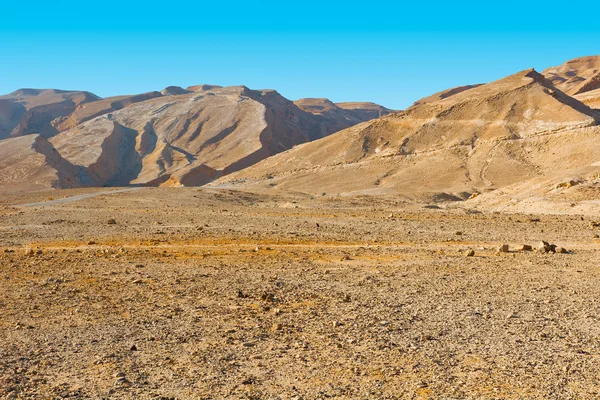 Negev-woestijn — Stockfoto