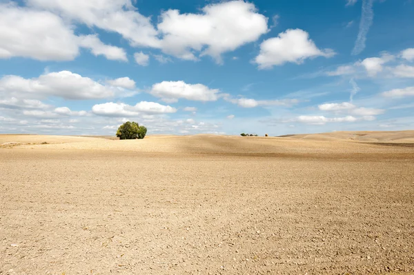 Campo di applicazione — Foto Stock