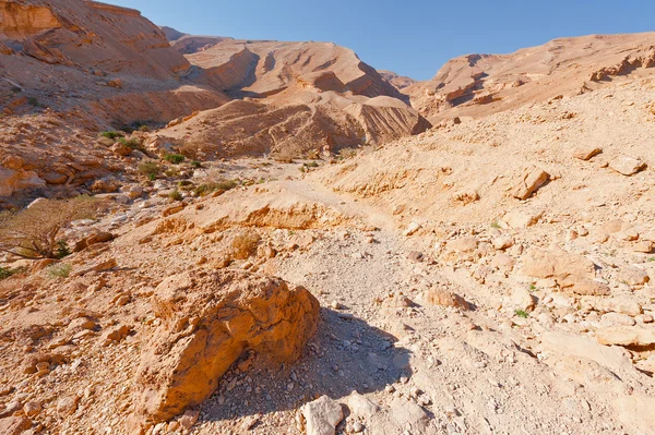 Dry Riverbed — Stock Photo, Image