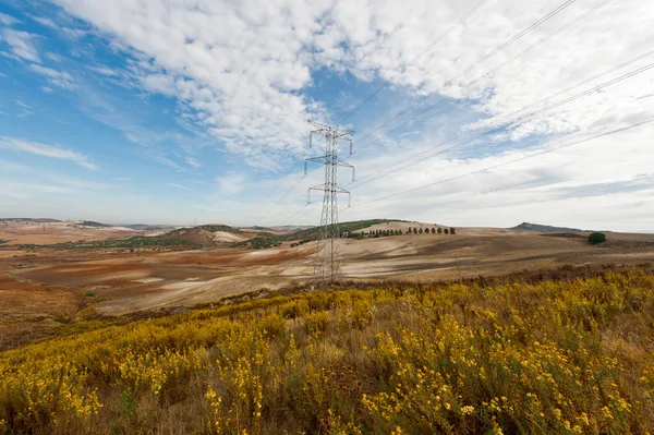 Power Line — Stock Photo, Image