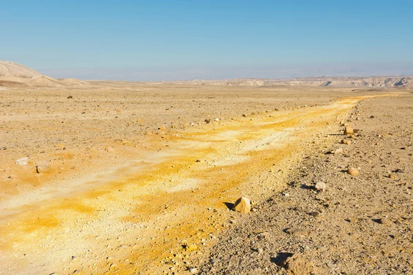 Negev Deserto — Foto Stock