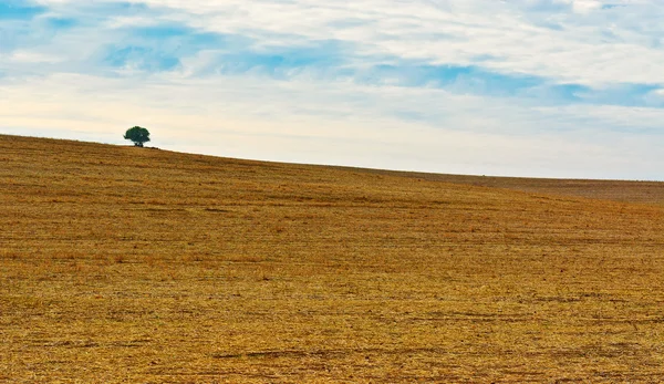 Autunno — Foto Stock