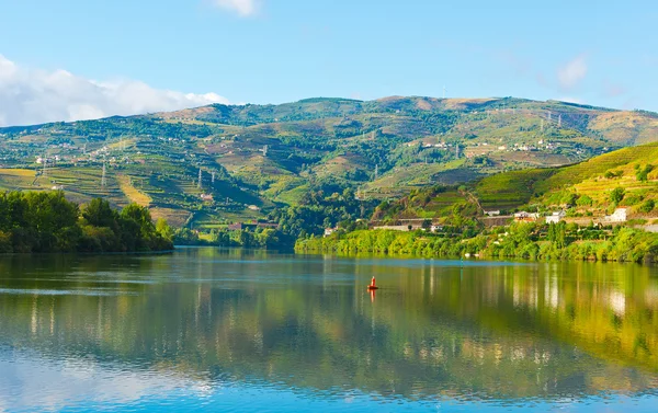 Rio douro — Fotografia de Stock