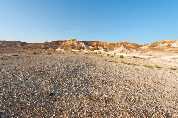 Краї пустелі — стокове фото