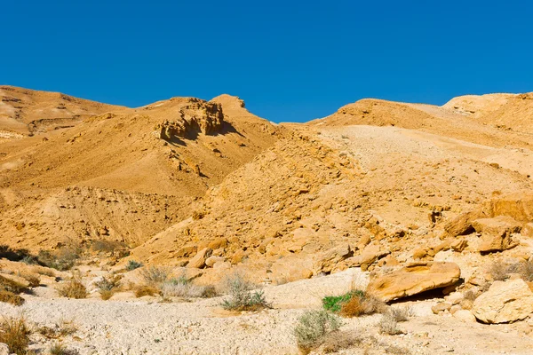 Kayalık Hills — Stok fotoğraf