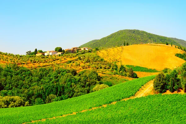 Paisagem — Fotografia de Stock